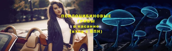 винт Кинешма