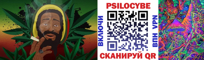 Купить где  Ахтубинск  Псилоцибиновые грибы мицелий 
